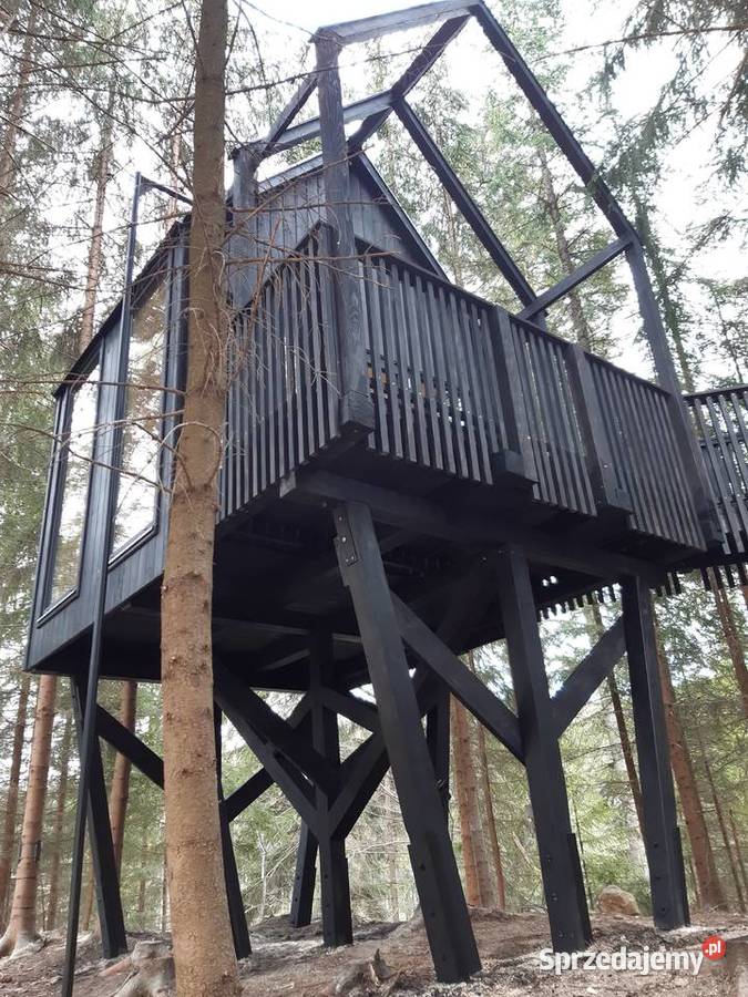 Domek na drzewie 04 Przemyśl