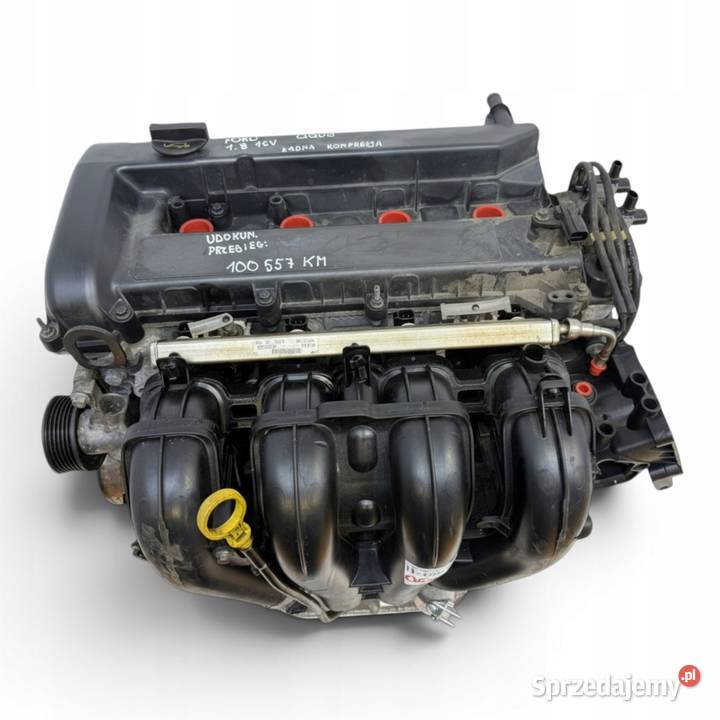 SILNIK QQDB Ford Focus II MK2 C C 18 16V 125 lubelskie
