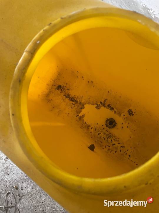 Zbiornik opryskiwacza 300L nieuszkodzony zachodniopomorskie Koszalin sprzedam