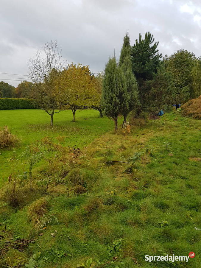 Dom w malinówkach 164m2 na działce 86 ara prąd mieszkalny Pisarzowice