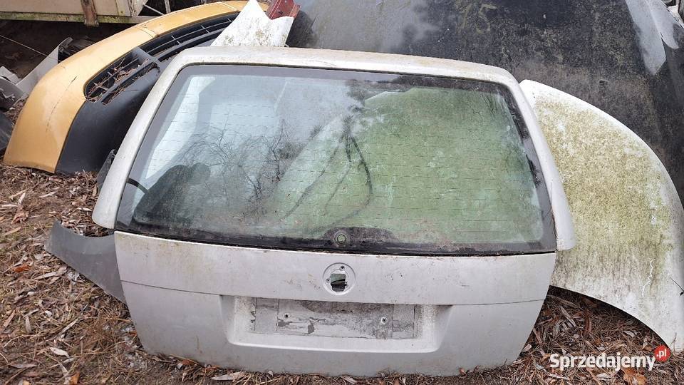 Klapa tylna golf 4 kombi Raczyn sprzedam