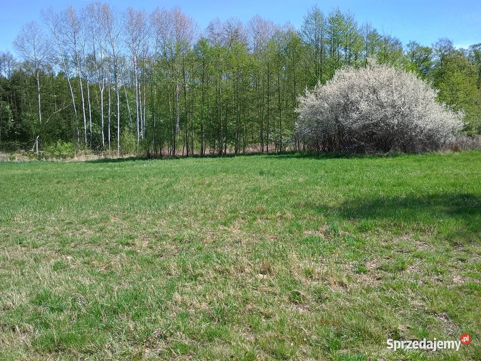 Działki budowlane Malerzów bez pośrednika sprzedam