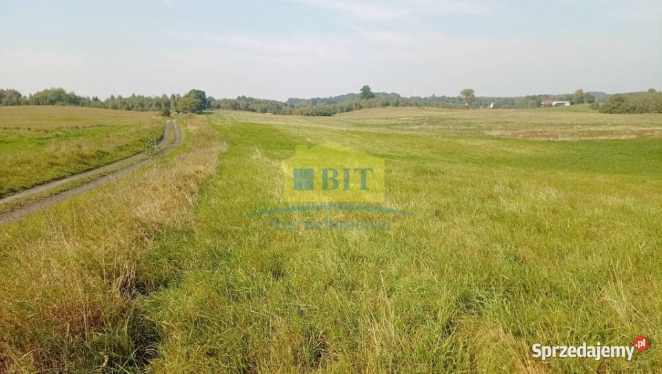 Działka budowlana 584 ha 250m jez Drawsko zachodniopomorskie Warniłęg