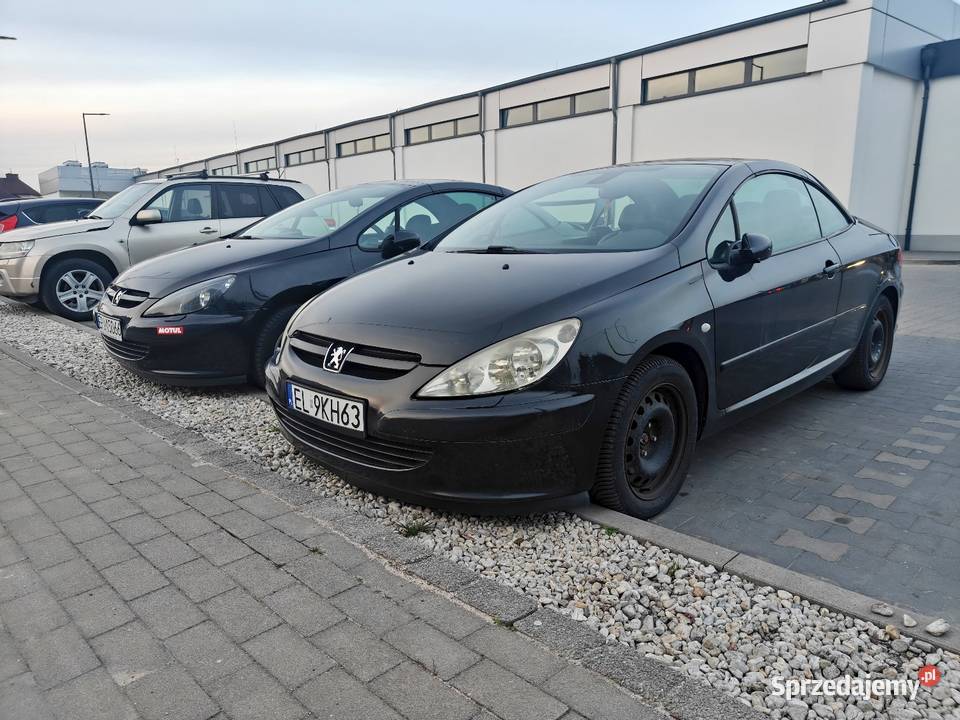 Sprzedam zamienię 307cc benzyna+LPG łódzkie Bełchatów