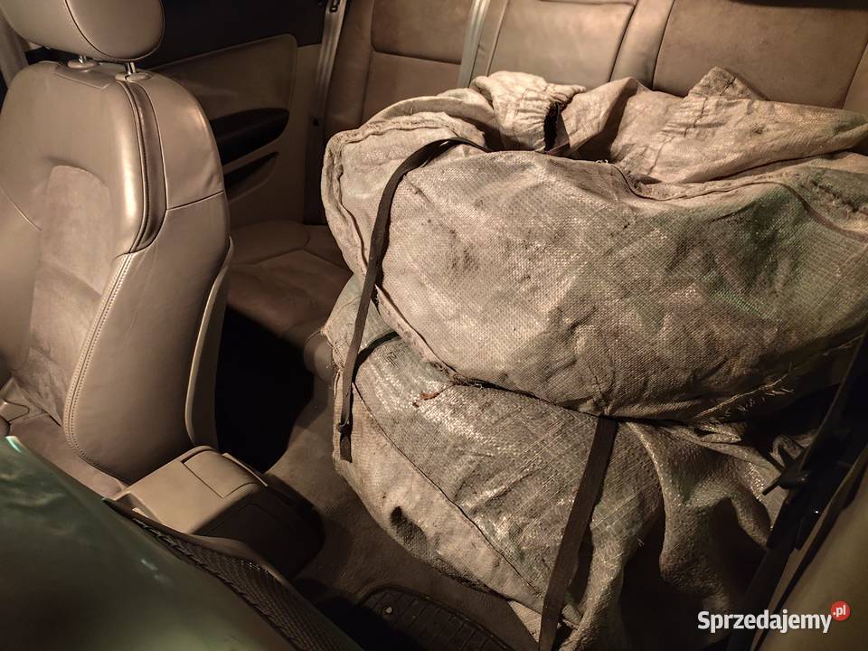 Audi A3 8P 20Benzyna 2003 stan bez rdzy Samochody osobowe Zgierz