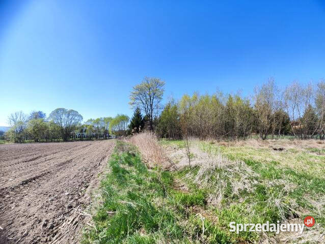 Ogłoszenie grunt 1000m2 Komarno 1000m2 sprzedam
