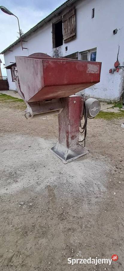 Srutownik nieuszkodzony pomorskie Przyjaźń