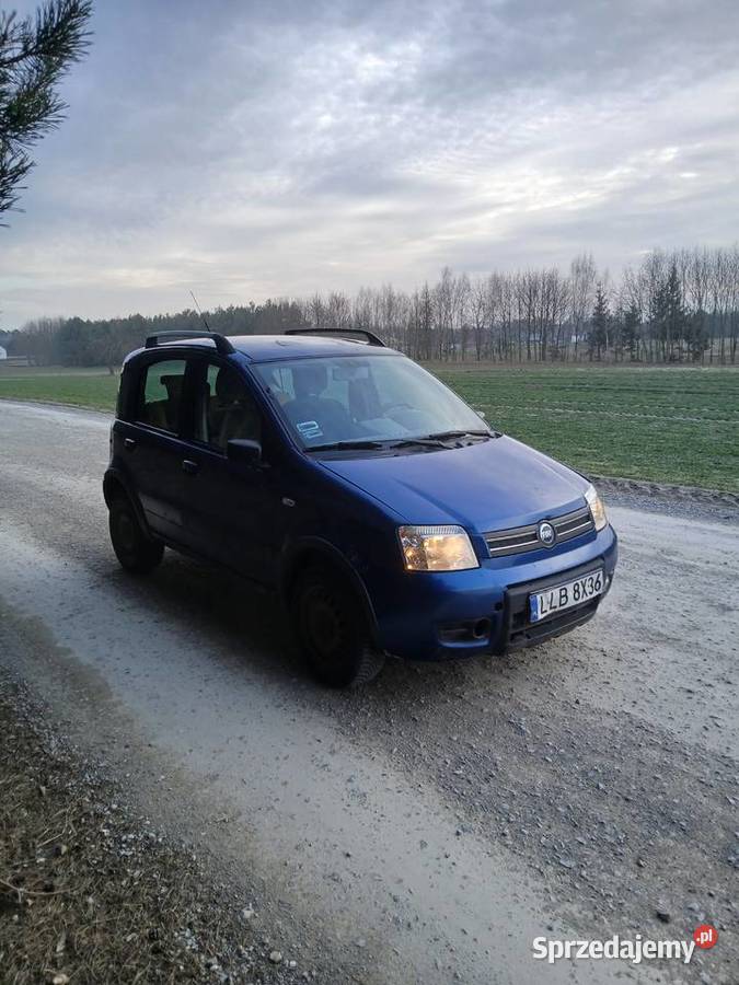 Fiat Panda Climbing 4x4 12 2005r Borki