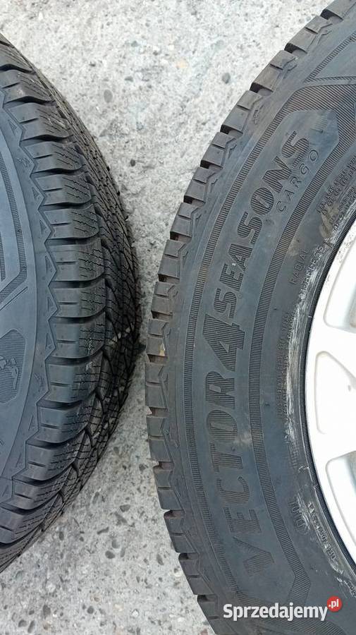 Goodyear Vector 4 Seasons Cargo 225x65r16 109107 śląskie Gliwice