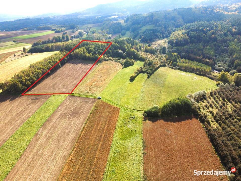 Dziaka rolna 110 ar Oparówka