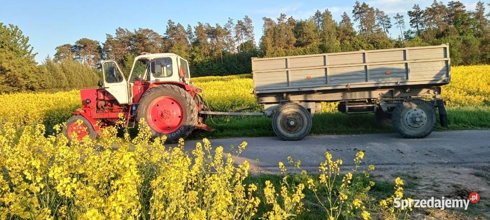 Ciągnik Jumz 6am Białoruś Białoruśka nie Belarus Świdnik