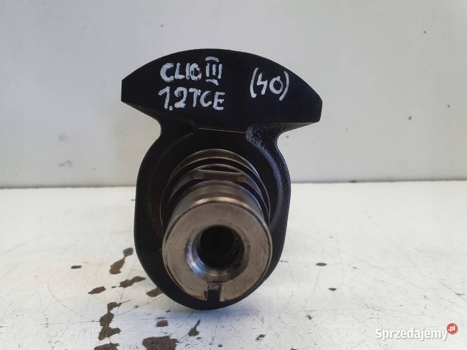 Renault Clio III 12 TCE 0512r WAŁ KORBOWY TF8469 Blok silnika lubelskie Janów