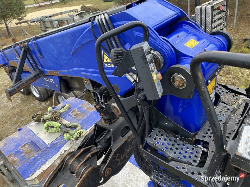 Do drzewa drewna lasu Biłgoraj sprzedam