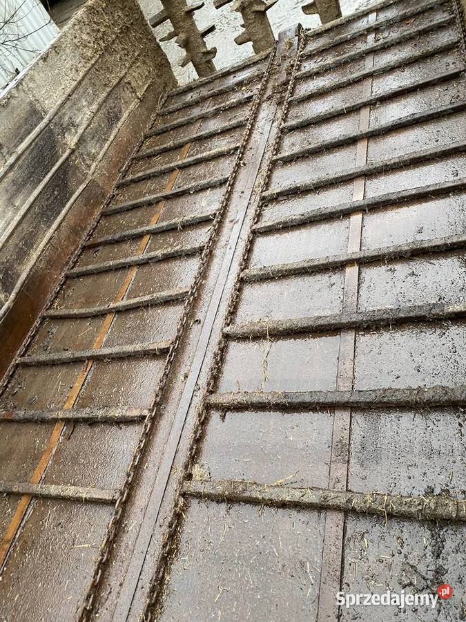 Rorzutnik obornika Fortschritt T088 Szklarnia