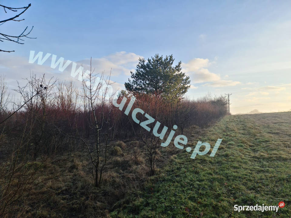 Karczowanie działekMulczowanie wgłębne i Krzeszowice