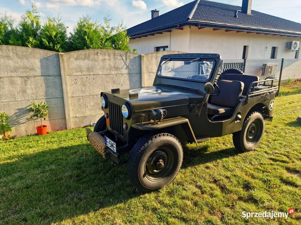 Jeep Willys CJ3B Willys Wieluń
