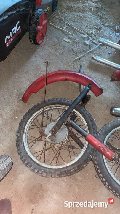 Komar simson Konradów