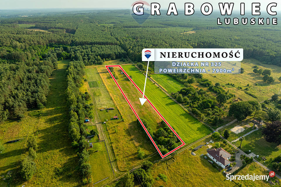 Na sprzedaż działka rolna 7900 m2 pod lasem Sprzedaż Grabowiec