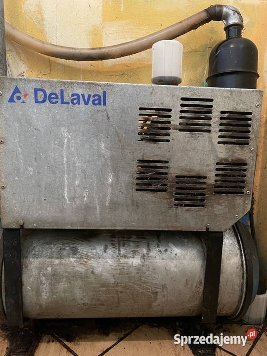 Dojarka trzykonwiowa Radwanów-Kolonia sprzedam