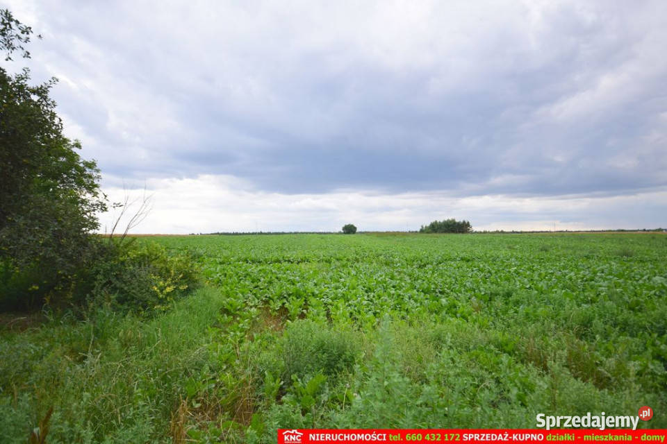 Siedlisko Lublina i 4 ha ziemi lubelskie Osmolice Pierwsze sprzedam