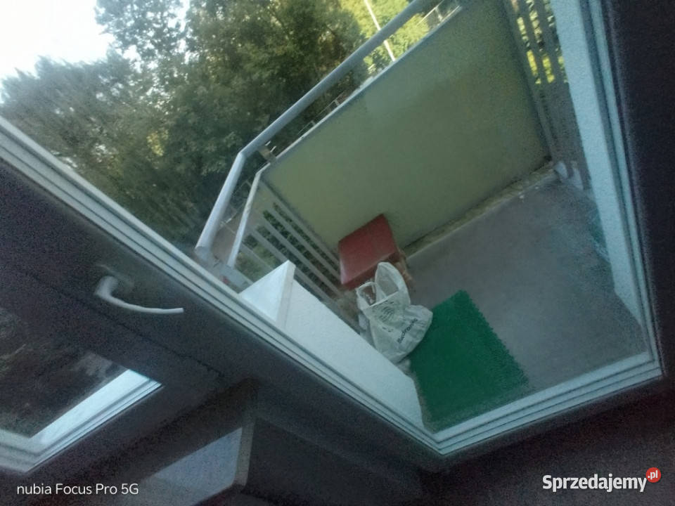 Saska Kępa kawalerka studio wynajem apartament Warszawa