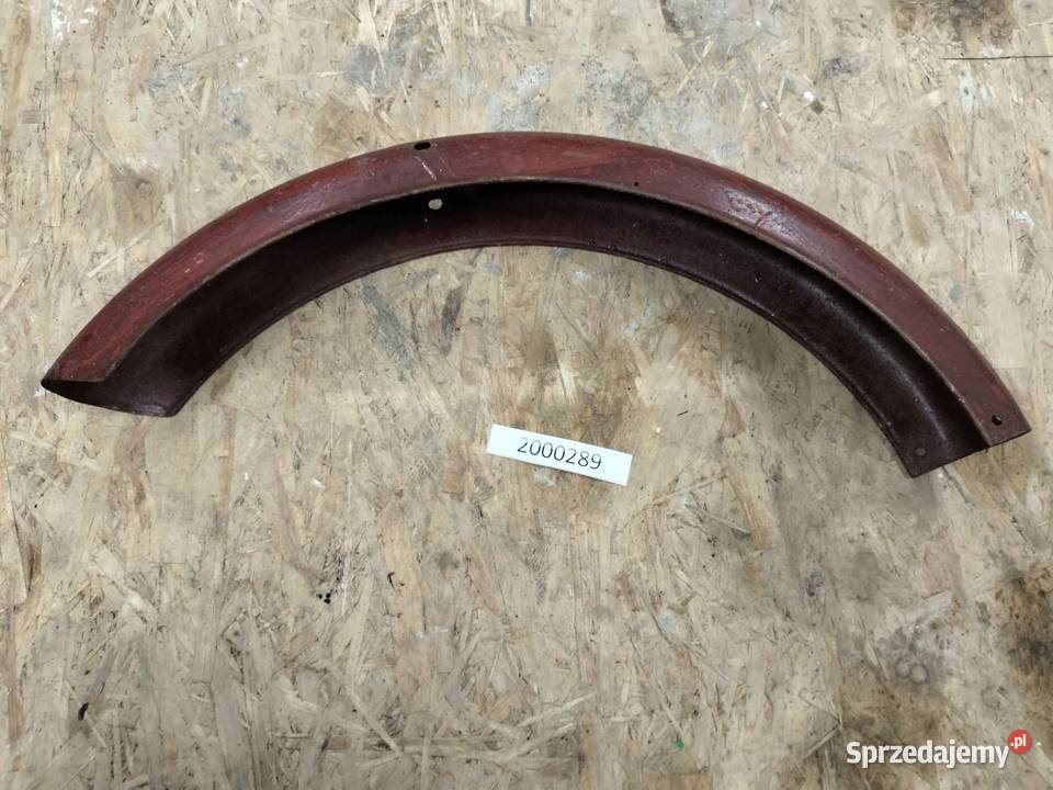 Komar błotnik przedni Pozostałe Rozkochów