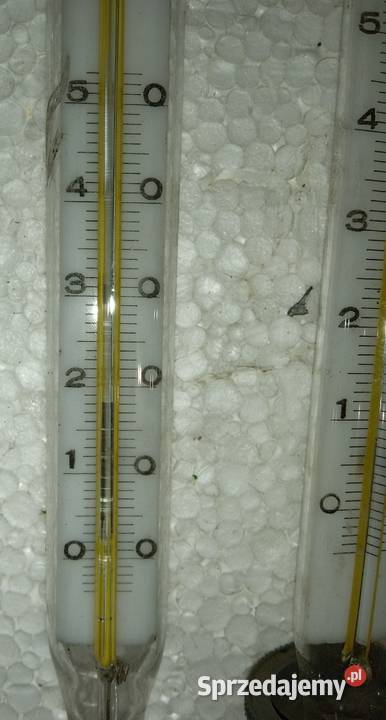Termometr z włącznikiem 220V