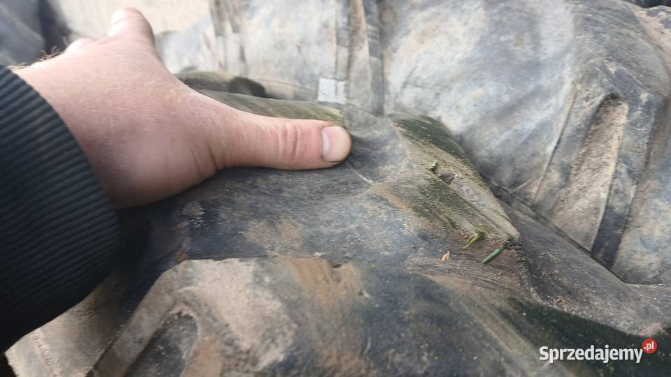 Opony do międzyrzędzi 9542 mtz belarus Zadąbrowie-Rudunek