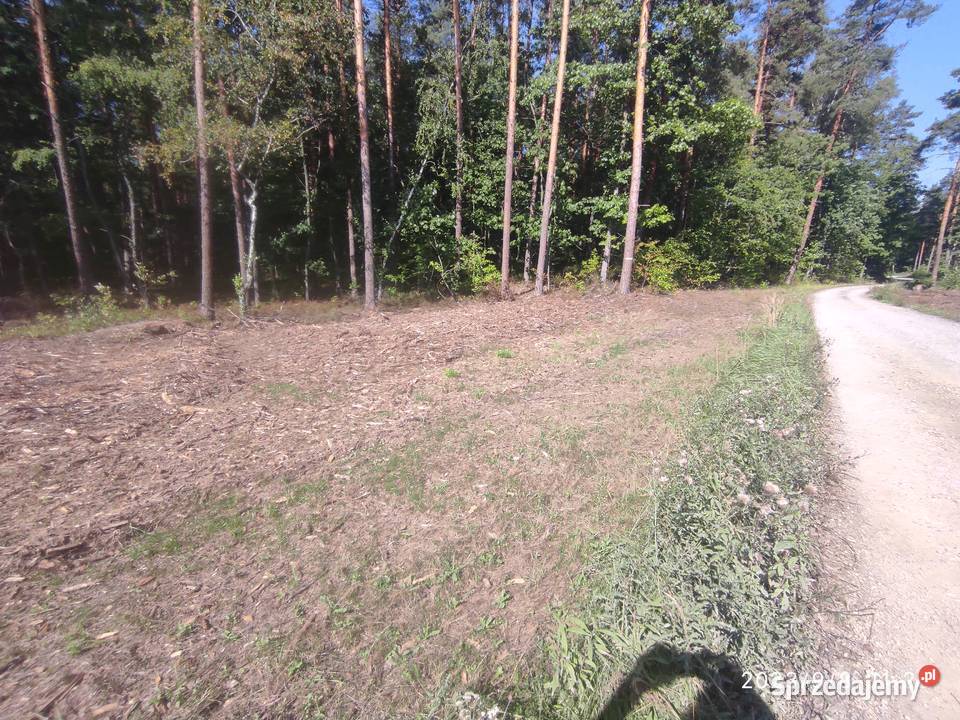 mulczowanie nieużytków Brzezinka