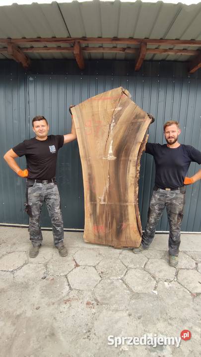 Drewno ozdobne orzech włoski topola wiąz Plastry Pozostałe Trześń