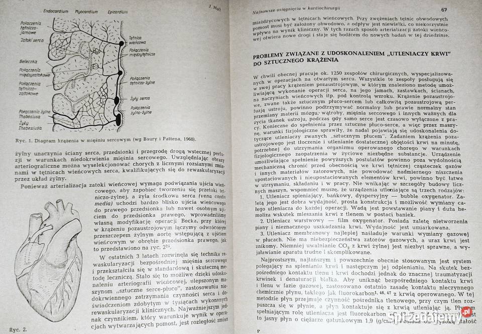 Problemy współczesnej chirurgii i anestezjologii Rok wydania 1974 Chełm