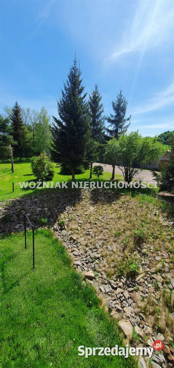 Ogłoszenie mieszkanie Czarny Bór 3349m2 1 pokój blok Wynajem