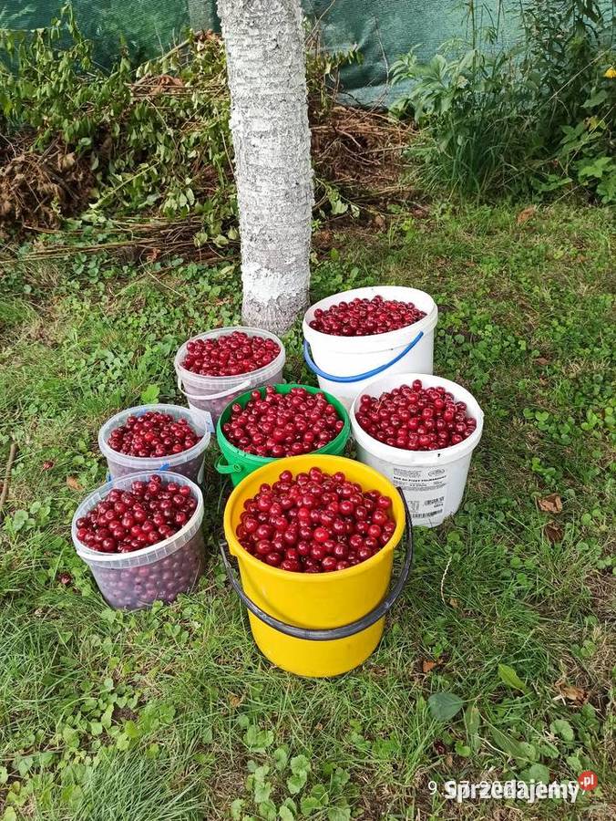 Działka