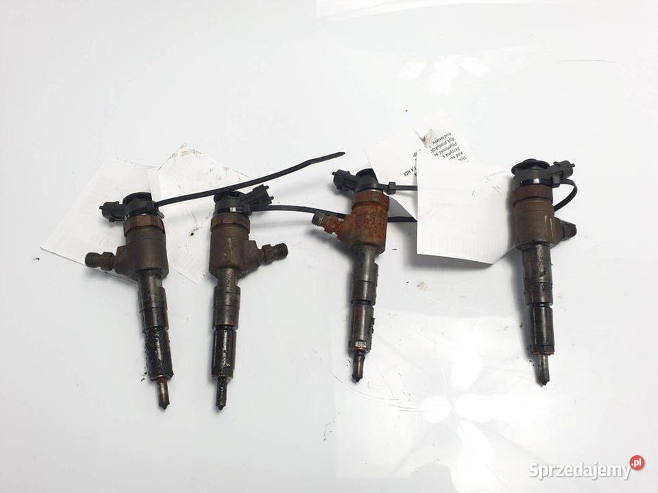 WTRYSKIWACZ PEUGEOT 206 0445110135 Lipno sprzedam