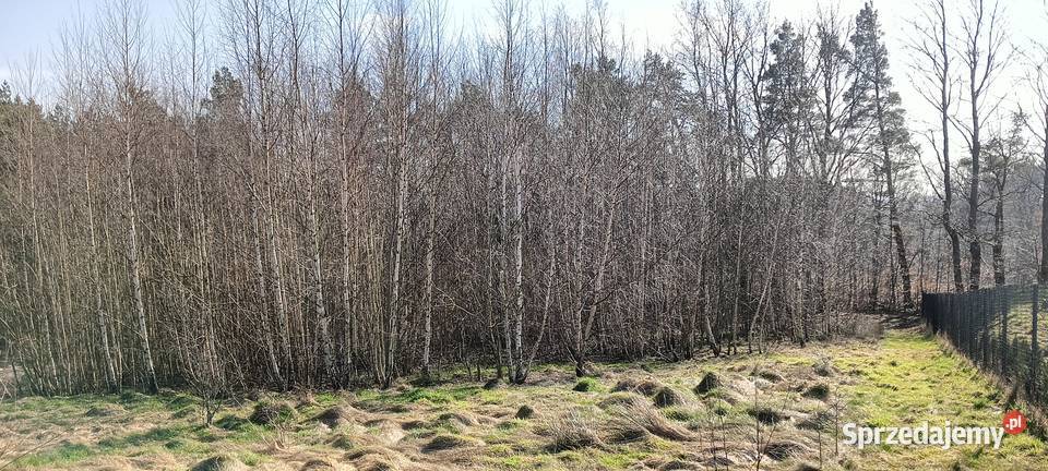 Działka uroczo położona w Dobimierzu k Szemuda prąd pomorskie Gościcino sprzedam