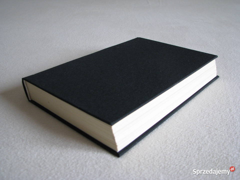 Szelmostwa niegrzecznej dziewczynki Mario Vargas Brzegi sprzedam