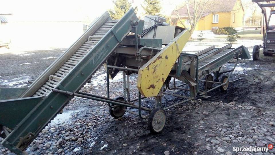 Sortownik do ziemniaków Puck Liwki Szlacheckie Sprzedajemy.pl