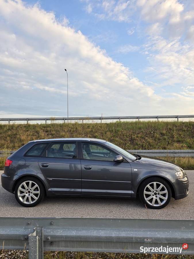 Audi A3 8P 20 TDI Sline łódzkie Wieluń