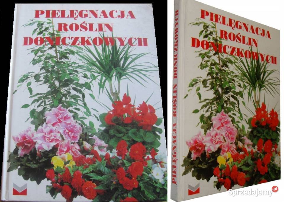 Pielęgnacja roślin doniczkowych Beata Przybylska Poradniki, albumy i reportaże Poradniki, albumy i reportaże Kielce