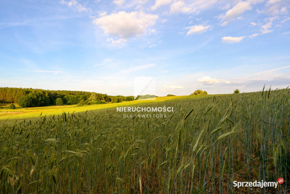 Kameralne działki budowlane w Kłodawie 1725 ar utwardzona