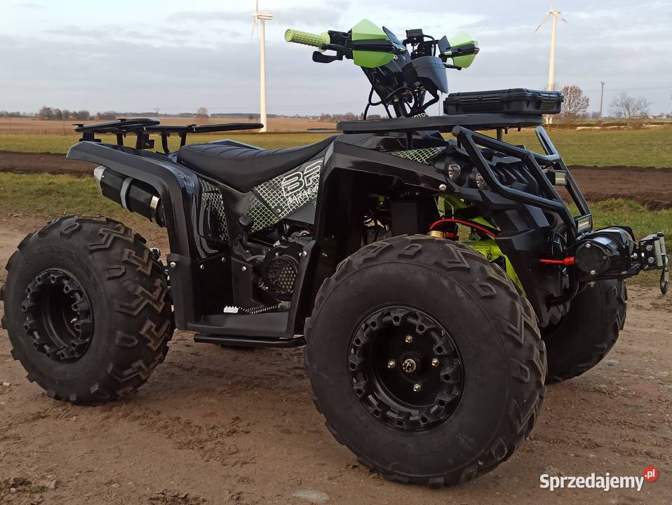 Quad 250 BARACUDA automat 1Rkoła 10 stan nowy Piotrków Kujawski