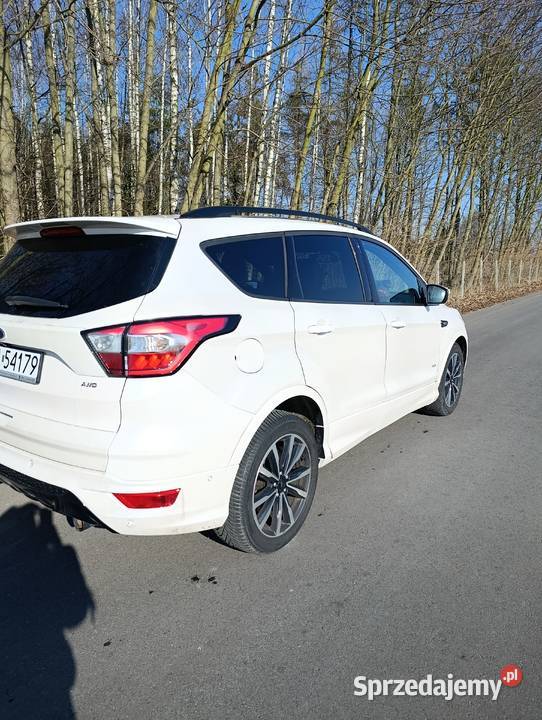 Ford Kuga 2019 lubelskie