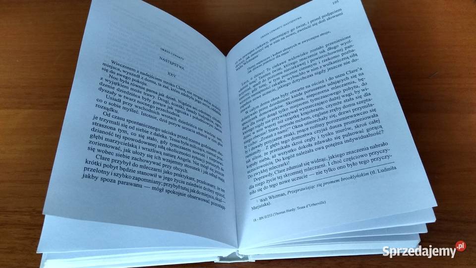 Tessa dUrberville historia kobiety czystej Gdańsk sprzedam