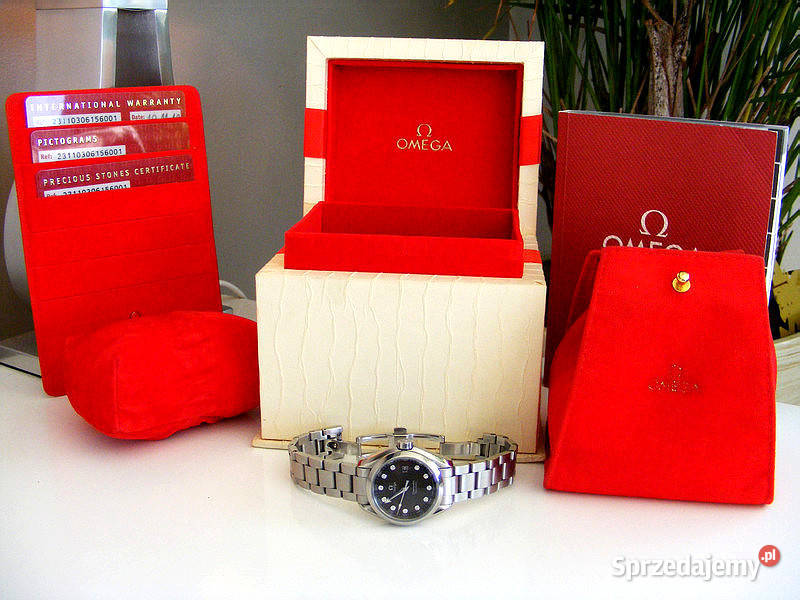 Omega Seamaster Aqua Terra Teak Diamond salon Zgierz