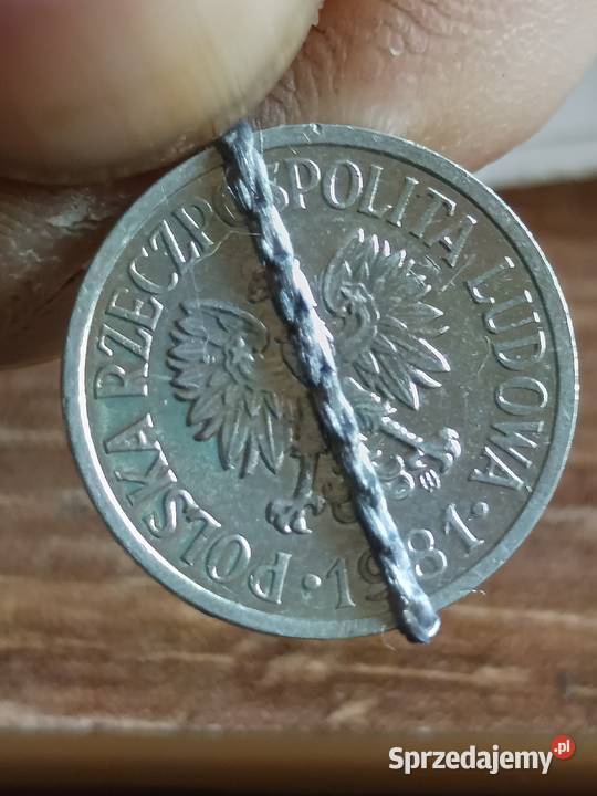 Sprzedam 10 gr 1981 r skretka sprzedam