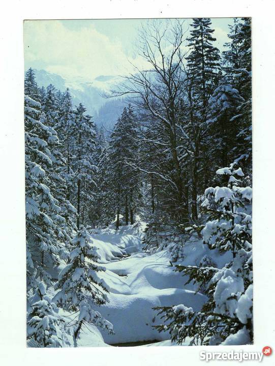 TATRY ZACHODNIE DOLINA BIAŁEGO POCZTÓWKA Krynki
