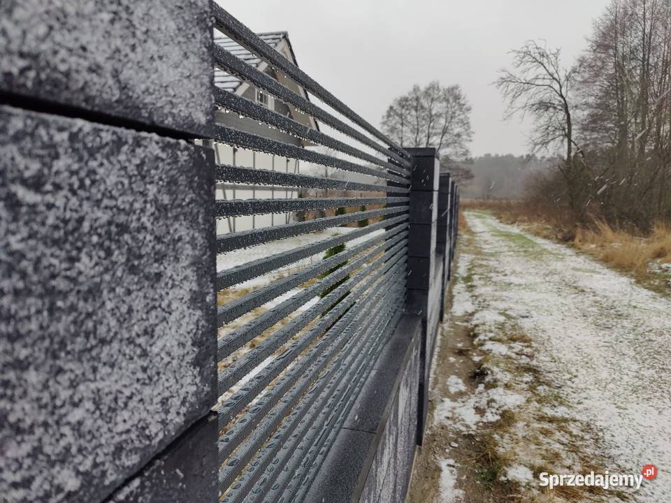 Brama skrzydłowa 500x150 ogrodzenie przęsła Wrocław sprzedam