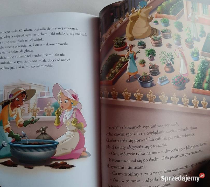 Disney Księżniczka Najpiękniejsze opowieści Zabrzeg