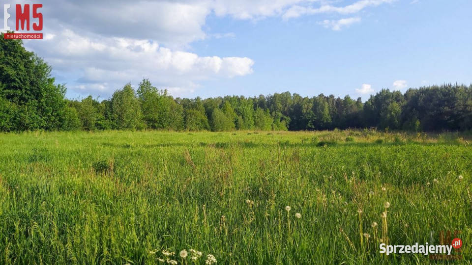 sprzedaży gruntu Henrykowo Złota 1279 metrów 30m