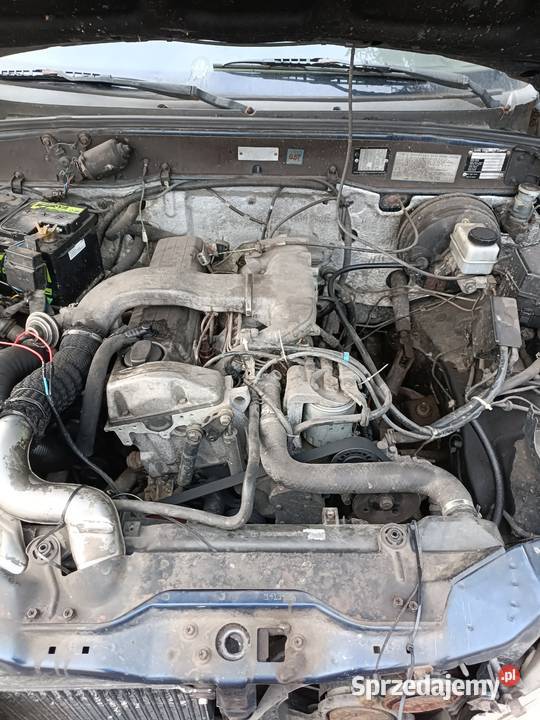 Ssangyong Musso 29td OFFROAD 4x4 Daewoo Musso 2900cm3 Musso Gdynia sprzedam